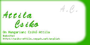 attila csiko business card