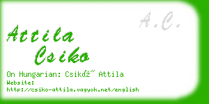 attila csiko business card